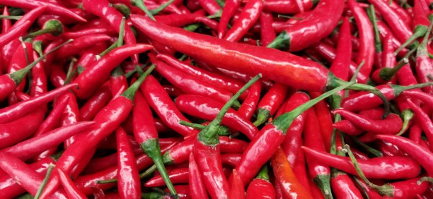 红辣椒图片下载