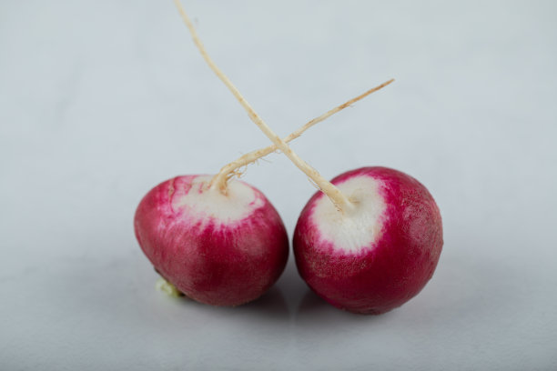 特写照片二紫萝卜在白色的背景图片下载