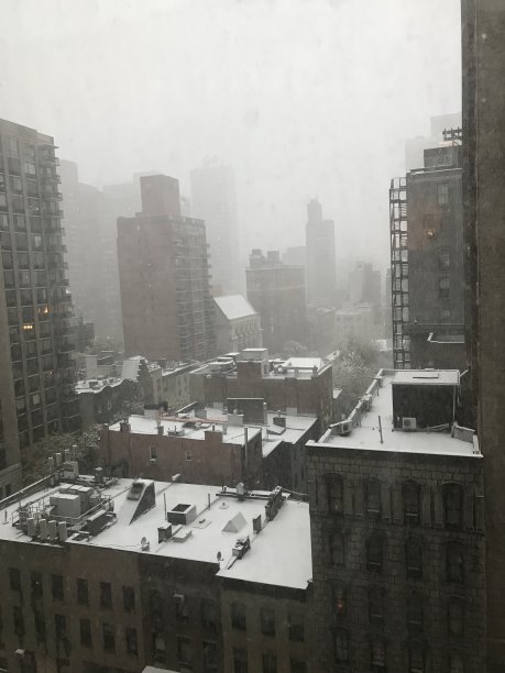 雪中的纽约屋顶图片下载