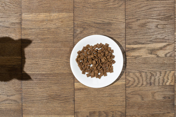 木地板上放有猫粮和猫剪影的盘子。直射光，直接置于平面之上。健康饮食的概念图片下载