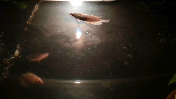 水族馆图片下载