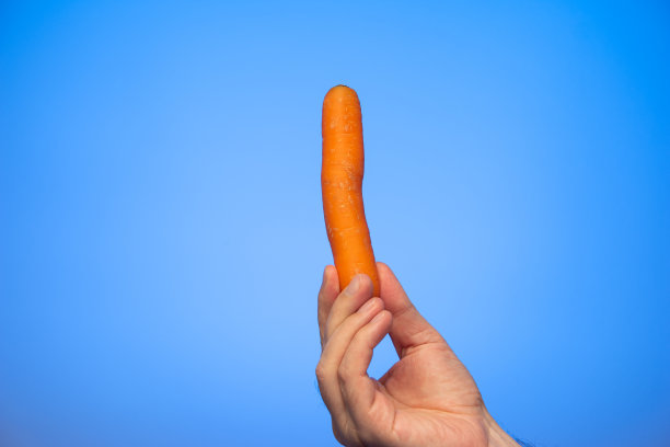 在蓝色背景下，白人男性手拿新鲜的生胡萝卜图片下载