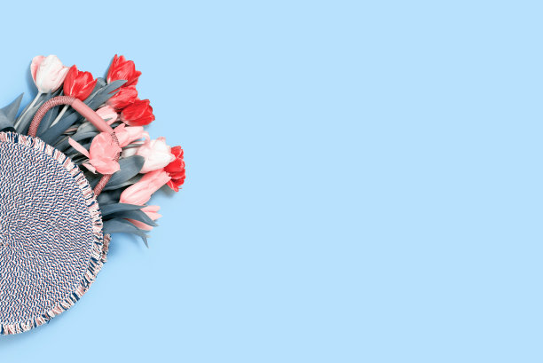 蓝色背景上的新鲜郁金香花束图片下载