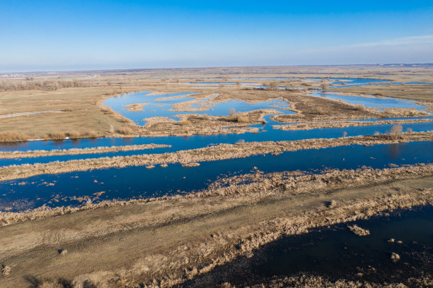 秋季湖草图片下载