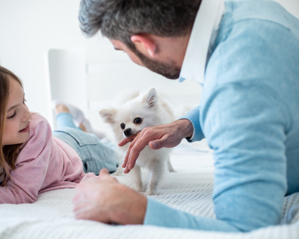 家庭和狗图片下载