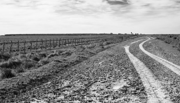 的方式图片下载