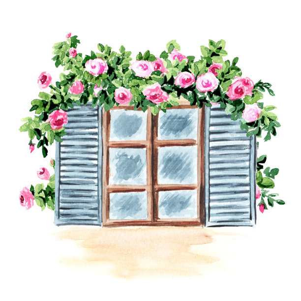 开窗野蔷薇。手绘水彩插图孤立的白色背景图片下载