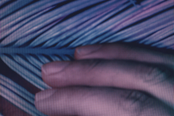 手握棕榈叶在霓虹下拍黑。简约复古风格的概念。背景图案设计。微距摄影的看法。图片下载