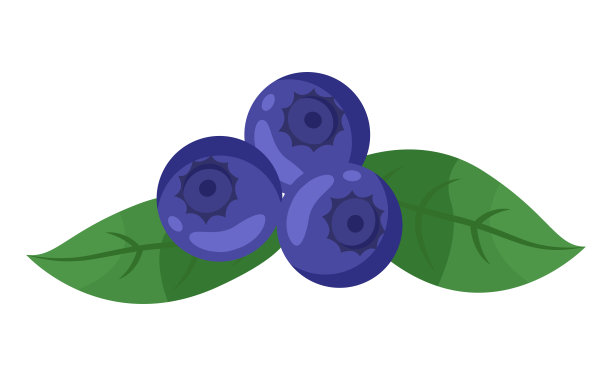 独立在白色蓝莓图标与绿色的叶子，新鲜的浆果，甜的甜点，有机产品图片下载