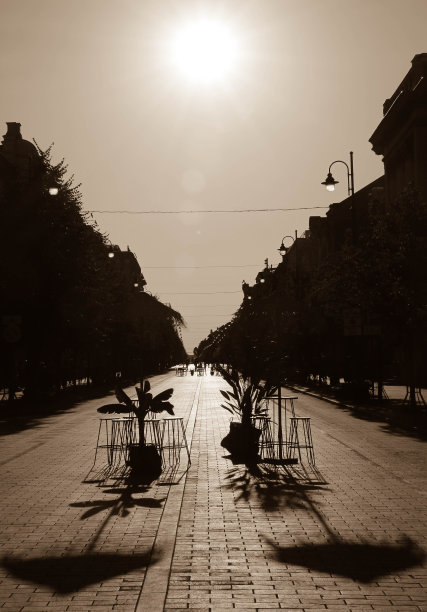 从哪来的。图片下载