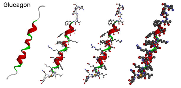 白底不同模型胰高血糖素分子。它是一种29个氨基酸的肽激素，用于治疗低血糖图片下载