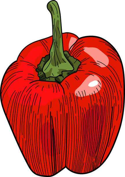 红辣椒图标隔离图片下载