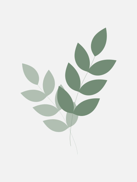 自然的图案与树叶在一个柔和的绿色的颜色。时尚现代的时尚传单，明信片，小册子，传单，名片，室内装饰。矢量图形。图片下载