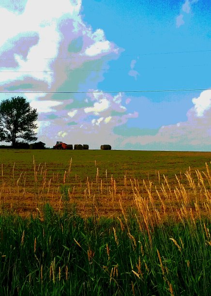 后制干草图片下载