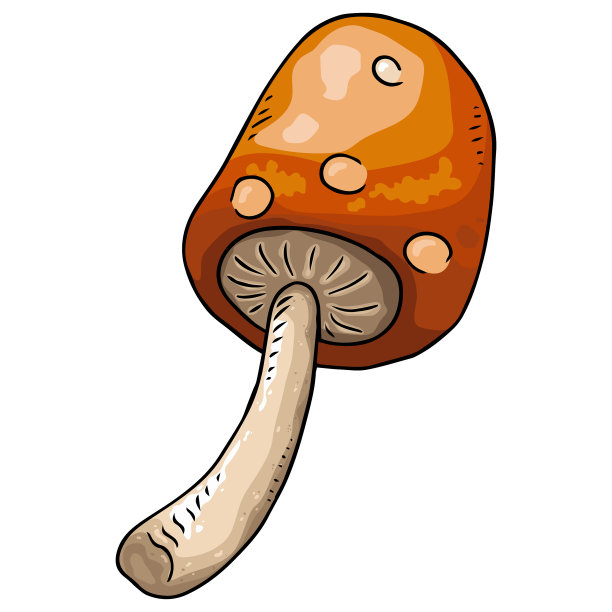 蘑菇图标蘑菇手绘蘑菇图片下载