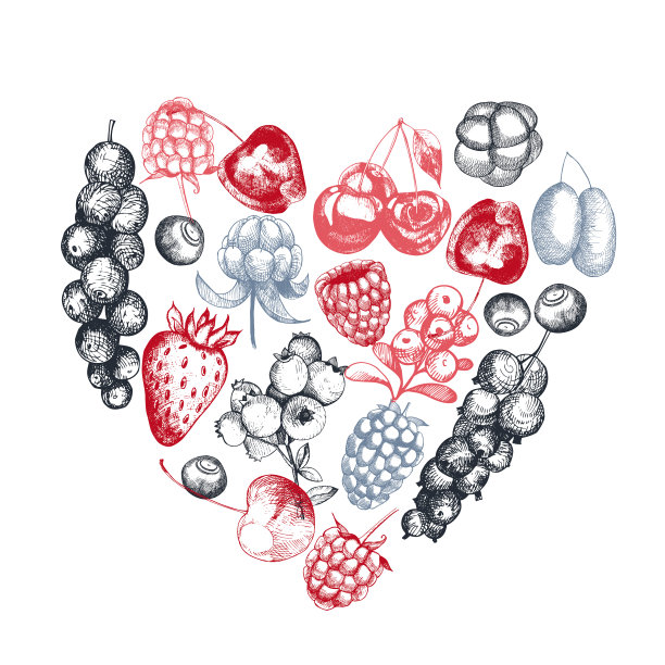 浆果集图片下载
