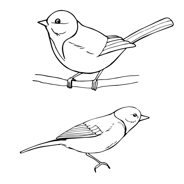 手绘山雀草图图片下载