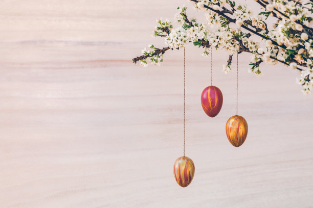 静物与开花的树枝和猫咪柳树装饰与自画复活节彩蛋在一个明亮的乡村木制背景与复制空间图片下载