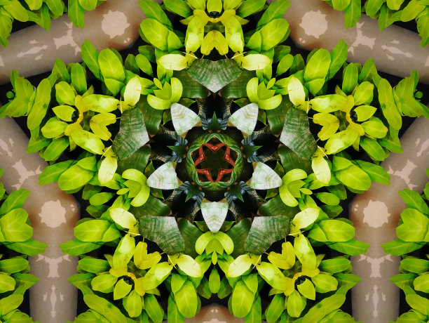 抽象对称的新鲜绿色植物背景插图图片下载