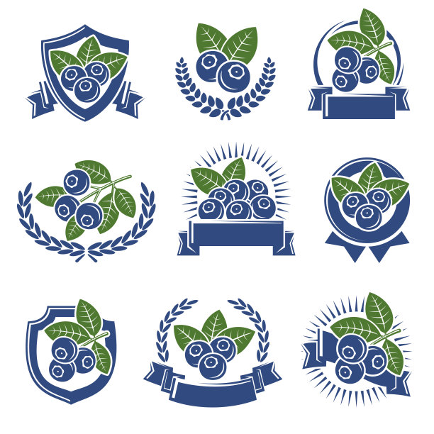 蓝莓标签和图标设置。图标蓝莓。向量图片下载