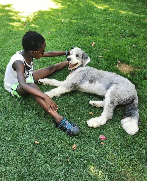 宠物爱图片下载