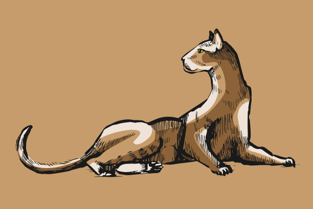 传统的猫画工艺风格的猫图片下载