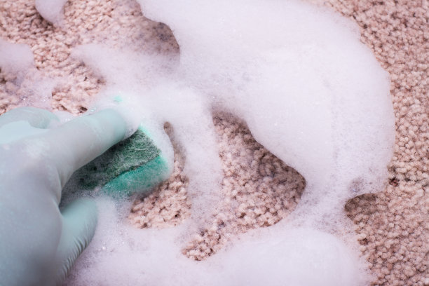 屋内大扫除。图片下载