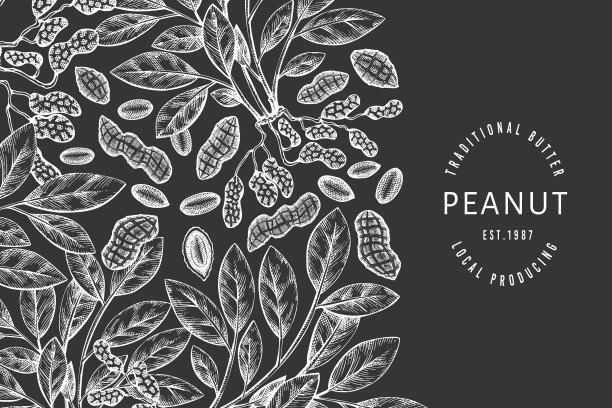 手绘花生枝仁图案图片下载
