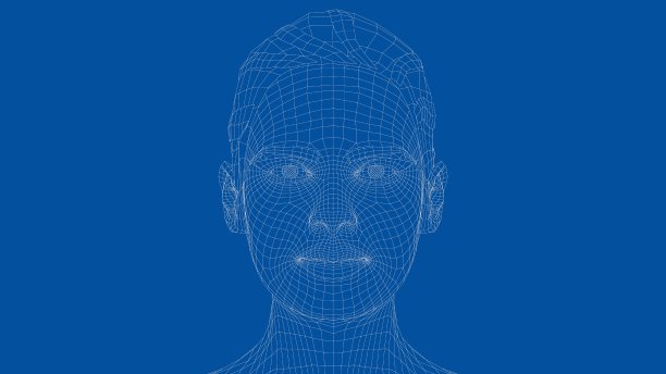 一个年轻美丽的女孩的线框肖像图片下载