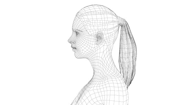 一个年轻美丽的女孩的线框肖像图片下载