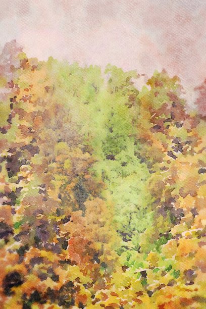 亚热带雨林水彩画图片下载