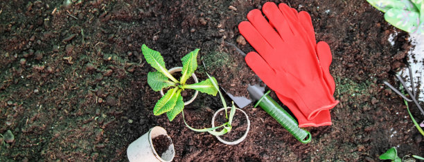 土地和园艺用品。花园。有选择性的重点图片下载