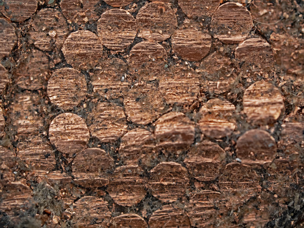 铜电缆切割面图片下载