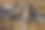 一名退休男子站在人行桥上的无人机照片图片下载