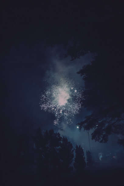 烟花迎新年图片下载