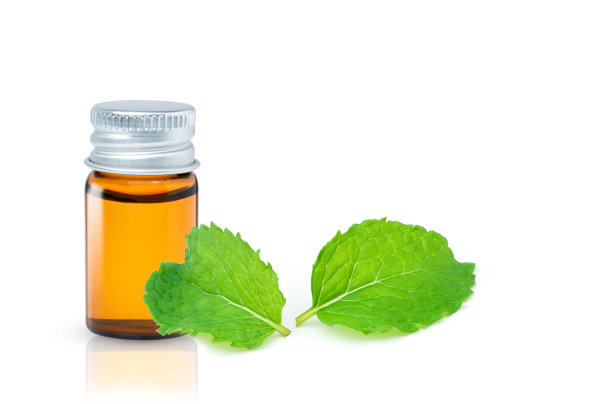 薄荷精油提取物图片下载