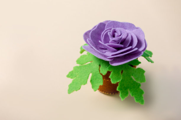 紫色玫瑰在米色背景上有阴影。节日贺卡，贺词，请帖。图片下载