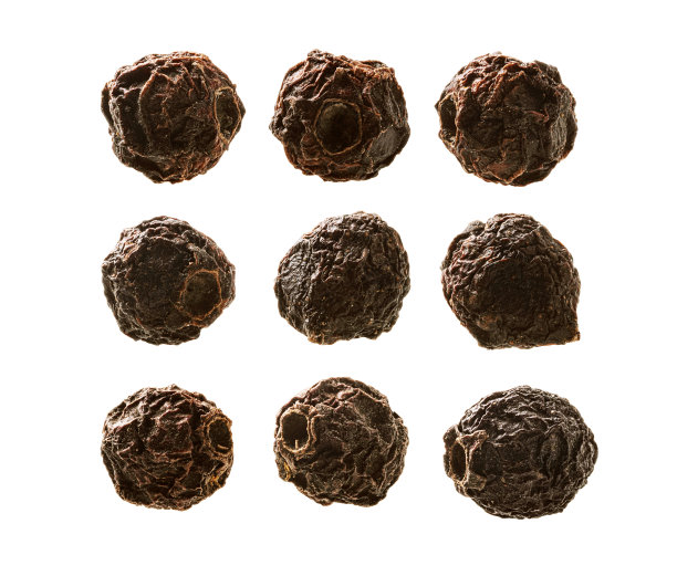 一组干山楂浆果。孤立在白色背景上图片下载