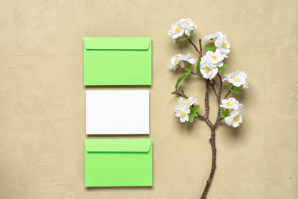 白色请柬模型，绿色信封和樱花枝人造。米色的具体背景。春天文具静物。俯视图，平放。图片下载