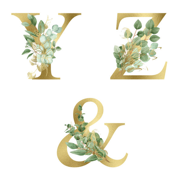 水彩金色花字母集合与绿色和金色桉树的树枝和黄金线叶子。婚礼邀请函、宝宝送礼会、升华设计、生日等概念创意。图片下载