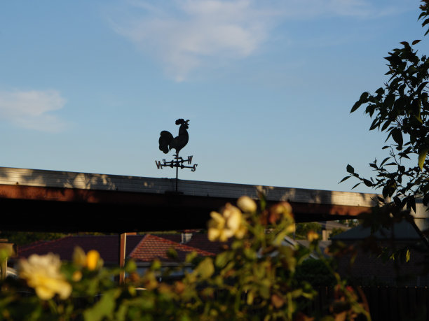 迎着蓝天的风向标图片下载
