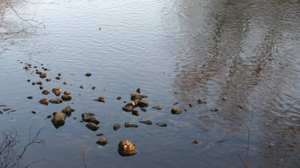 宁静的背景图片下载