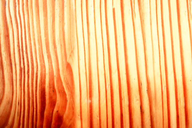 抽象橙色木质背景图片下载