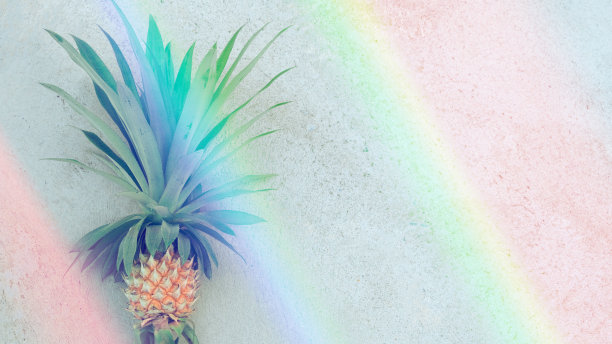 新鲜的热带菠萝水果躺在混凝土与复制空间。孤立在灰色背景和彩虹光。图片下载