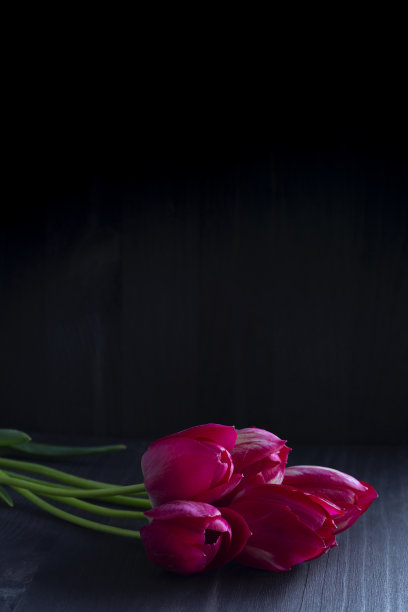 粉红色郁金香配黑色。明亮的春天郁金香花在黑色的背景。副本的空间。五朵红色郁金香在黑色的桌子上。垂直图片下载