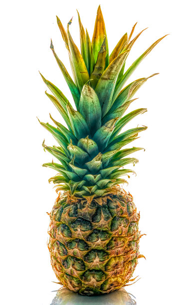 菠萝放在白色的背景上图片下载