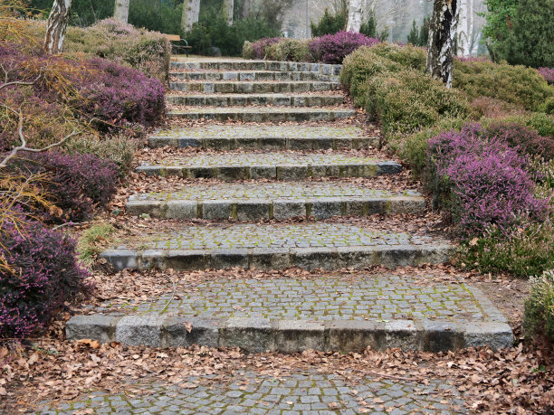 石阶上山坡的森林。通向人行道的楼梯图片下载