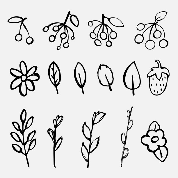 一组简单的小树枝、树叶和浆果的涂鸦图片。手绘插图。矢量元素在白色背景图片下载