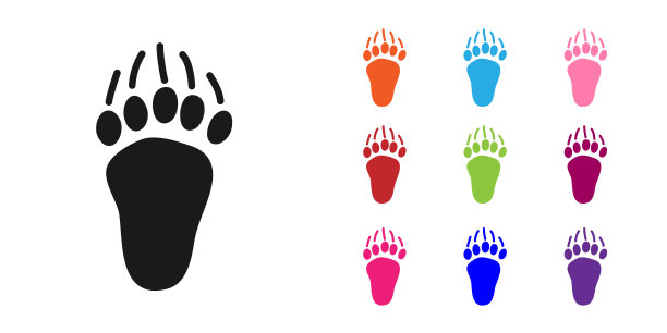 黑熊爪脚印图标孤立在白色背景。设置彩色图标。向量图片下载