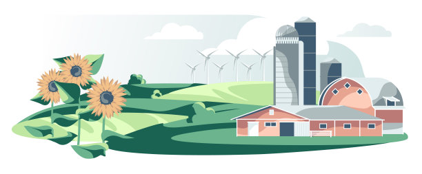 村外建筑物，房子，向日葵孤立在白色的背景图片下载